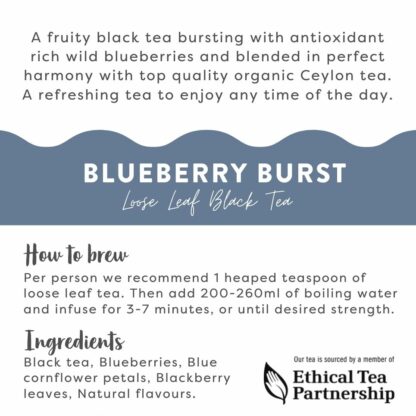 Blueberry Burst Back Label